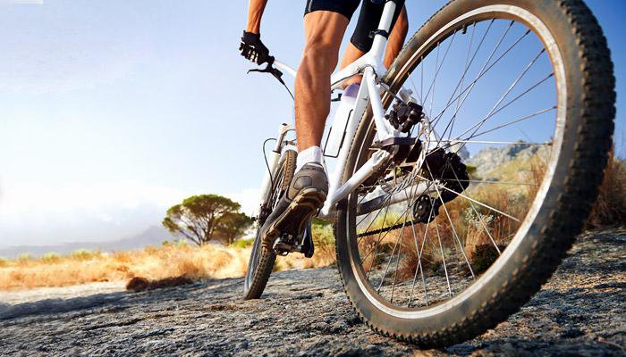 Local Area Guide https://powderridgecabins.icnd-cdn.com/images/thingstodo/Mountain-Biking.jpg